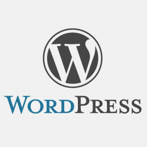 Техподдержка сайтов на WordPress